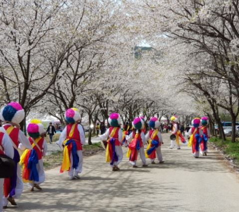 부안 벚꽃 축제