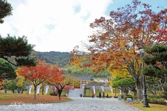 가을 경주 여행 가볼만한곳 베스트 10으로 정리_15