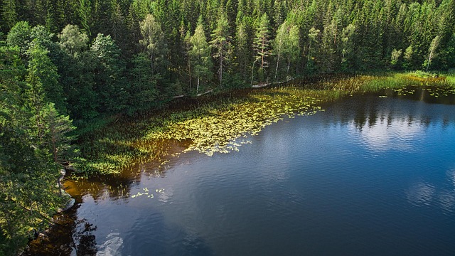 세종 단오제 기본정보&amp;#44; 행사 일정&amp;#44; 프로그램 