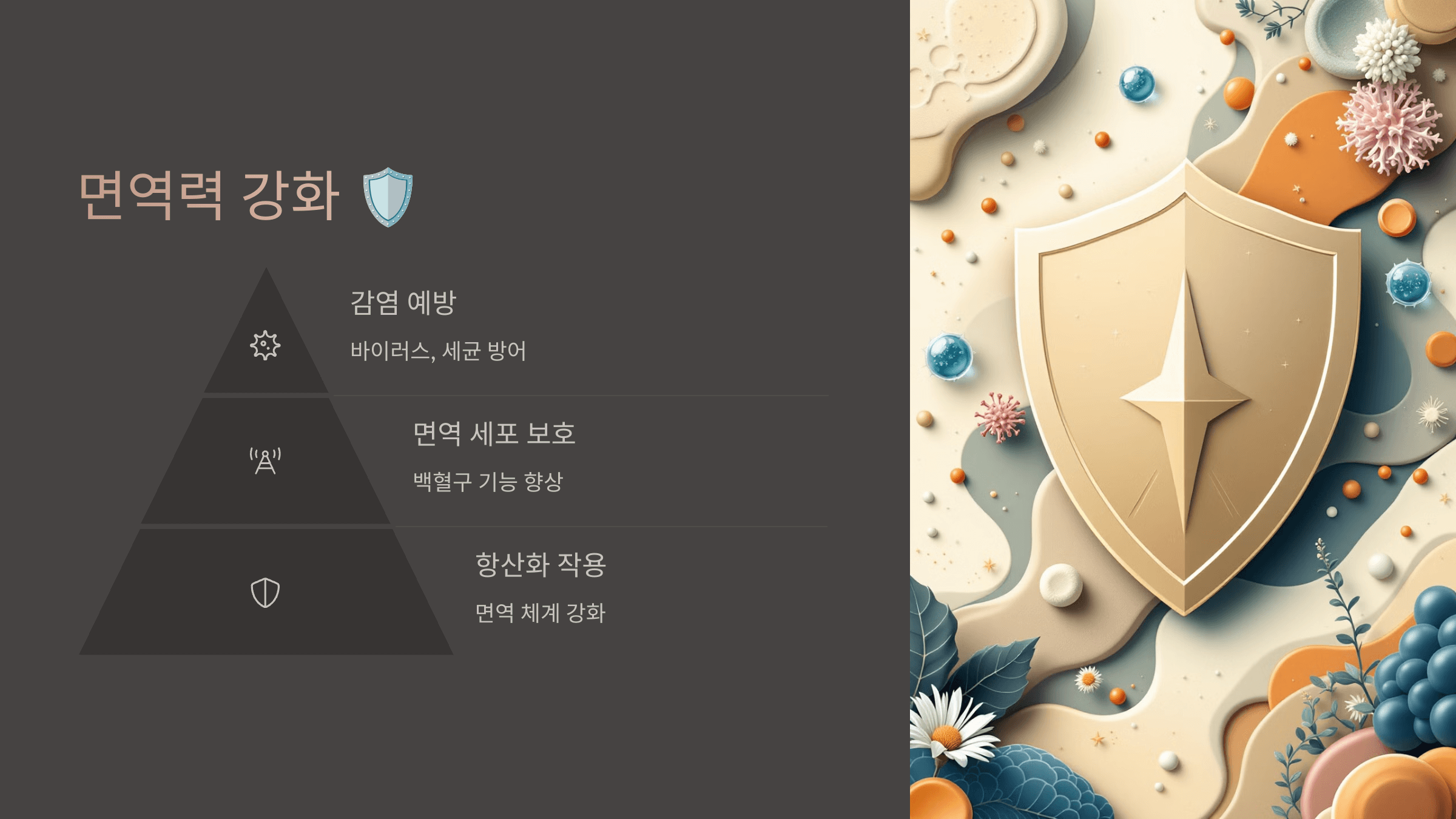 폴리페놀과 관련된 사진입니다.