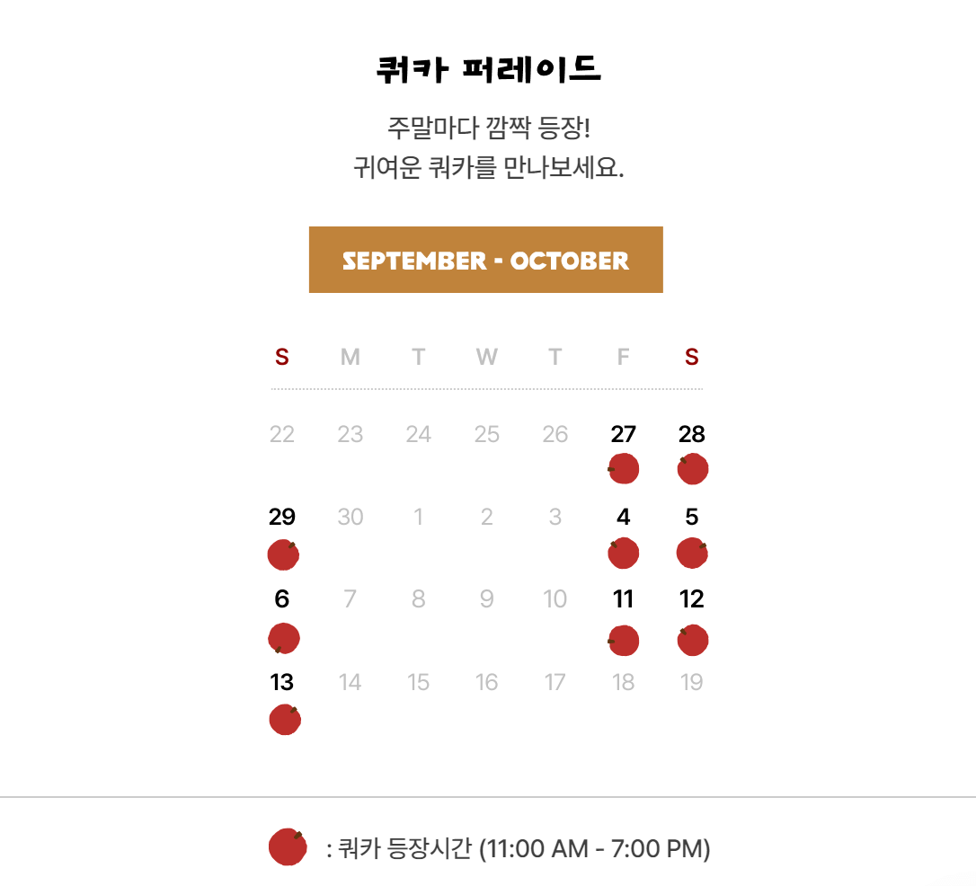 다이노탱 쿼카 &amp; 보보 인 더 우드 팝업스토어