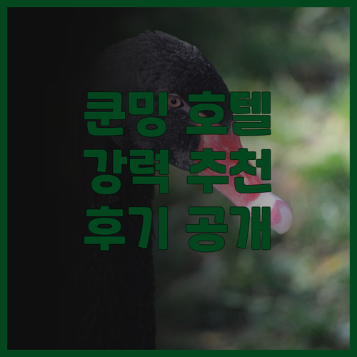 Indoor Hotel 쿤밍, 최고의