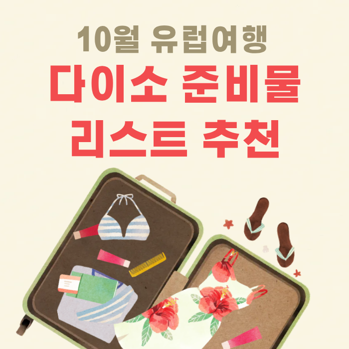 10월 유럽여행 다이소 준비물 리스트 추천