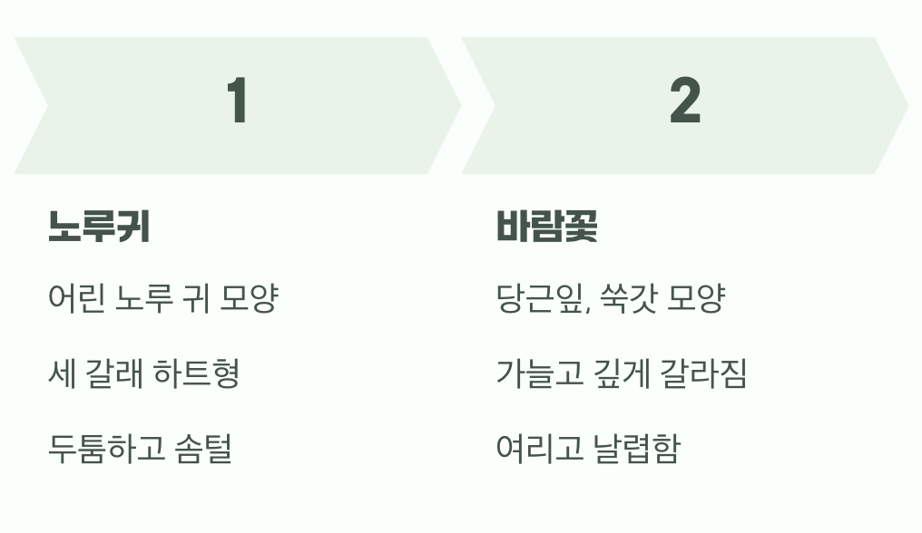 결정적 단서는 잎사귀에 있습니다