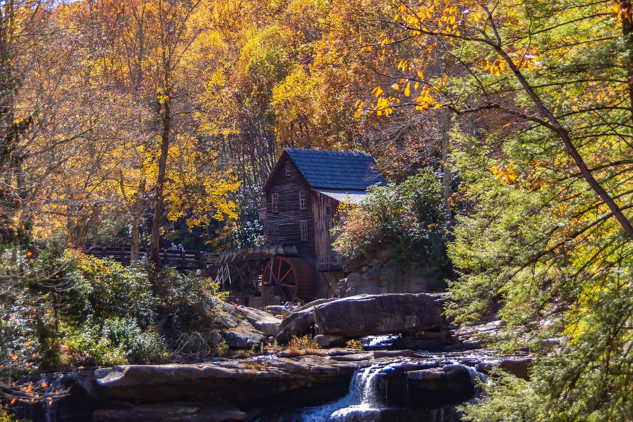 버지니아주 풍경