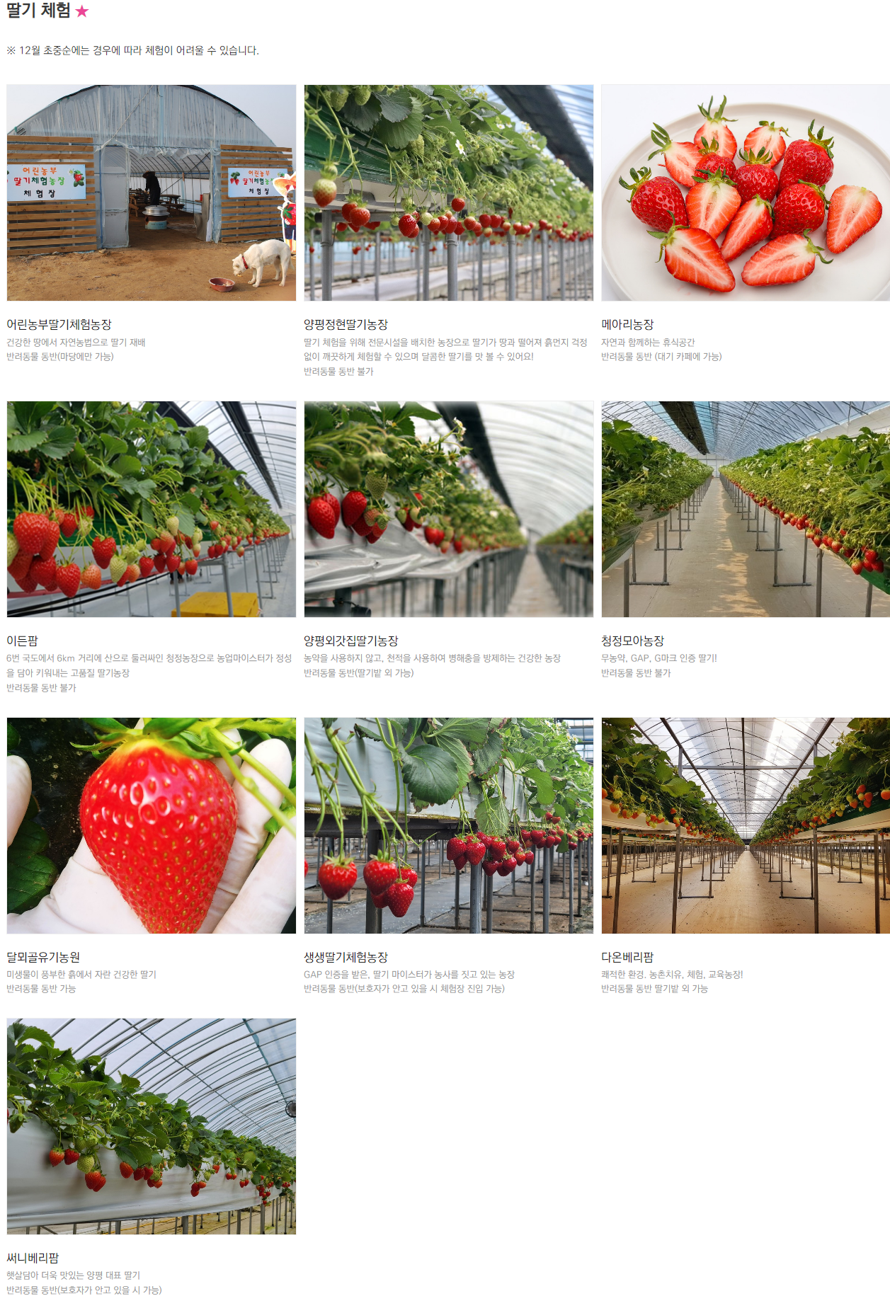 2023 겨울엔 양평 양평겨울축제 농촌체험 프로그램