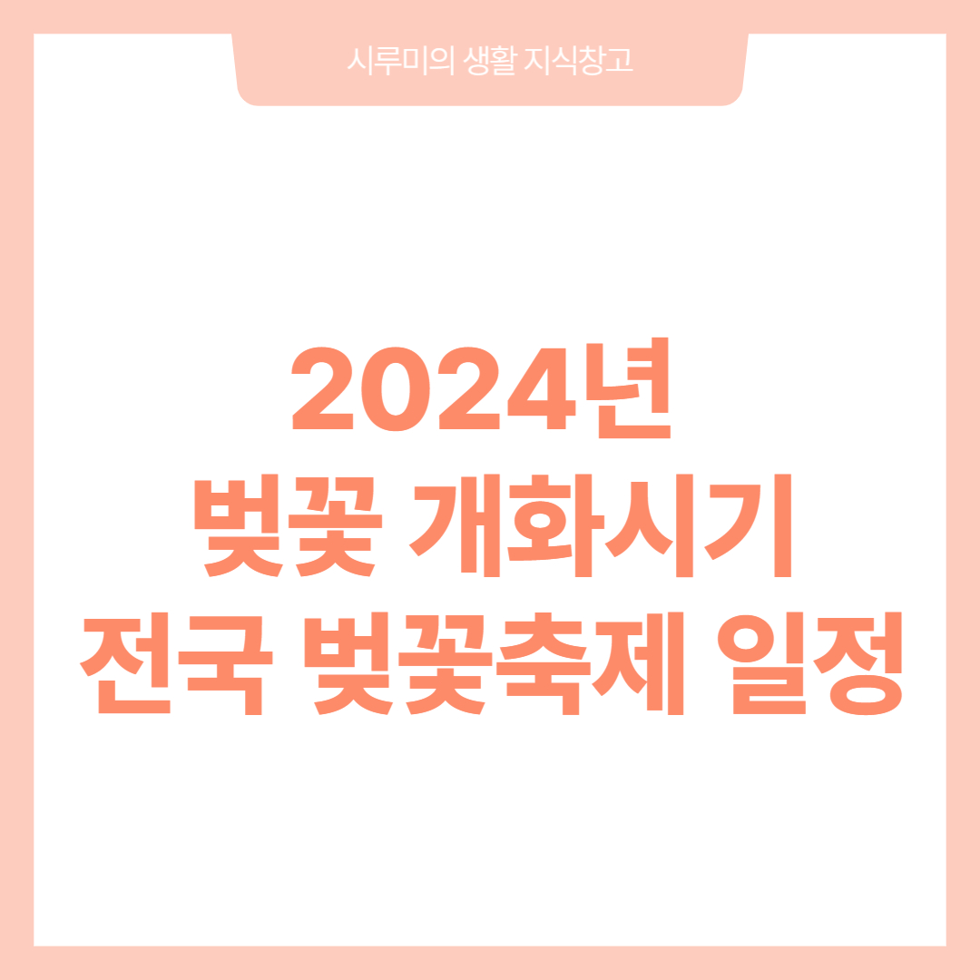 2024년 벚꽃 개화시기&#44; 전국 벚꽃 축제 일정