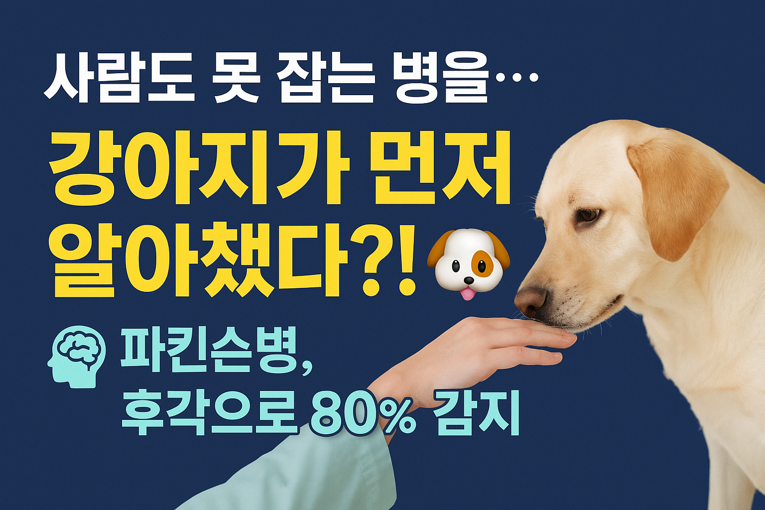 강아지가 파킨슨병을 감지한다? 사진