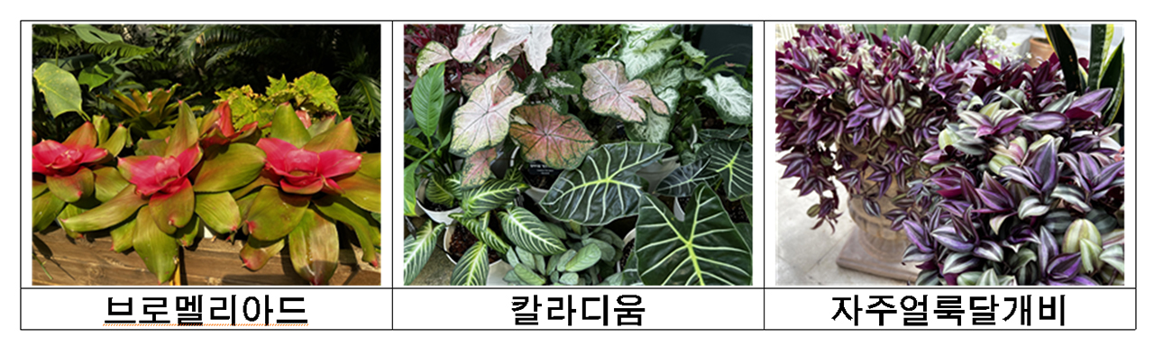 서울식물원