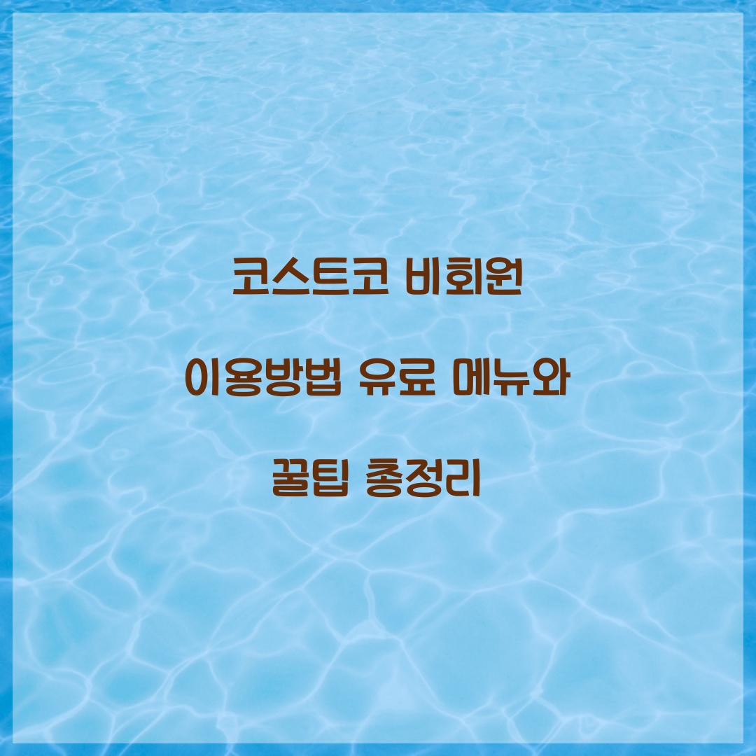 코스트코 비회원 이용방법