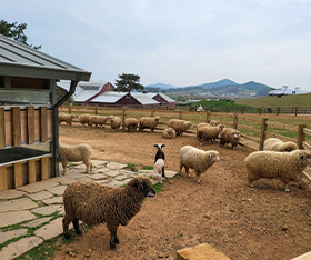 여행 가는 달
