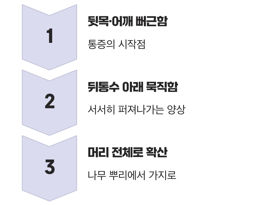 머리가 아닌 목에서 시작되는 통증