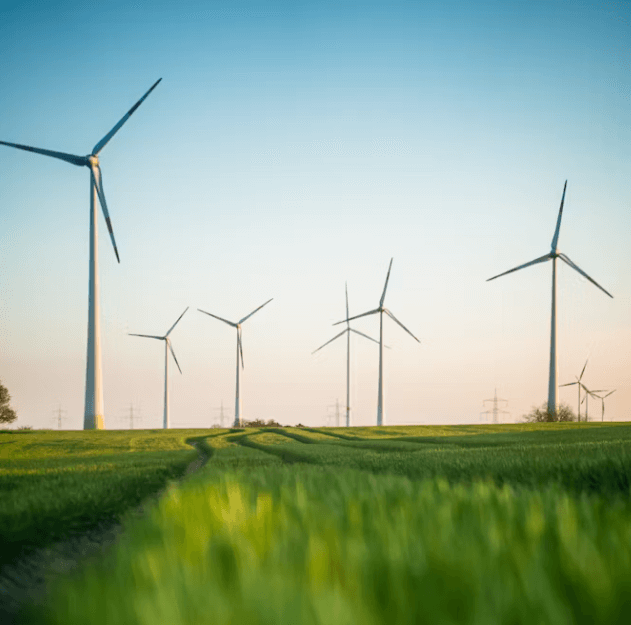 APEC 정상회의 증시 영향: 장기 수혜주 투자 전략
