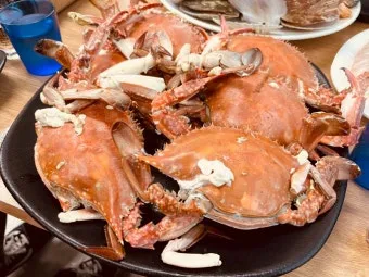 6월 꽃게 금어기 정확한 일정과 유통 제한 상세 정보 총정리_9