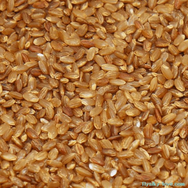 체중감량에 효과적인 슈퍼푸드 가바현미