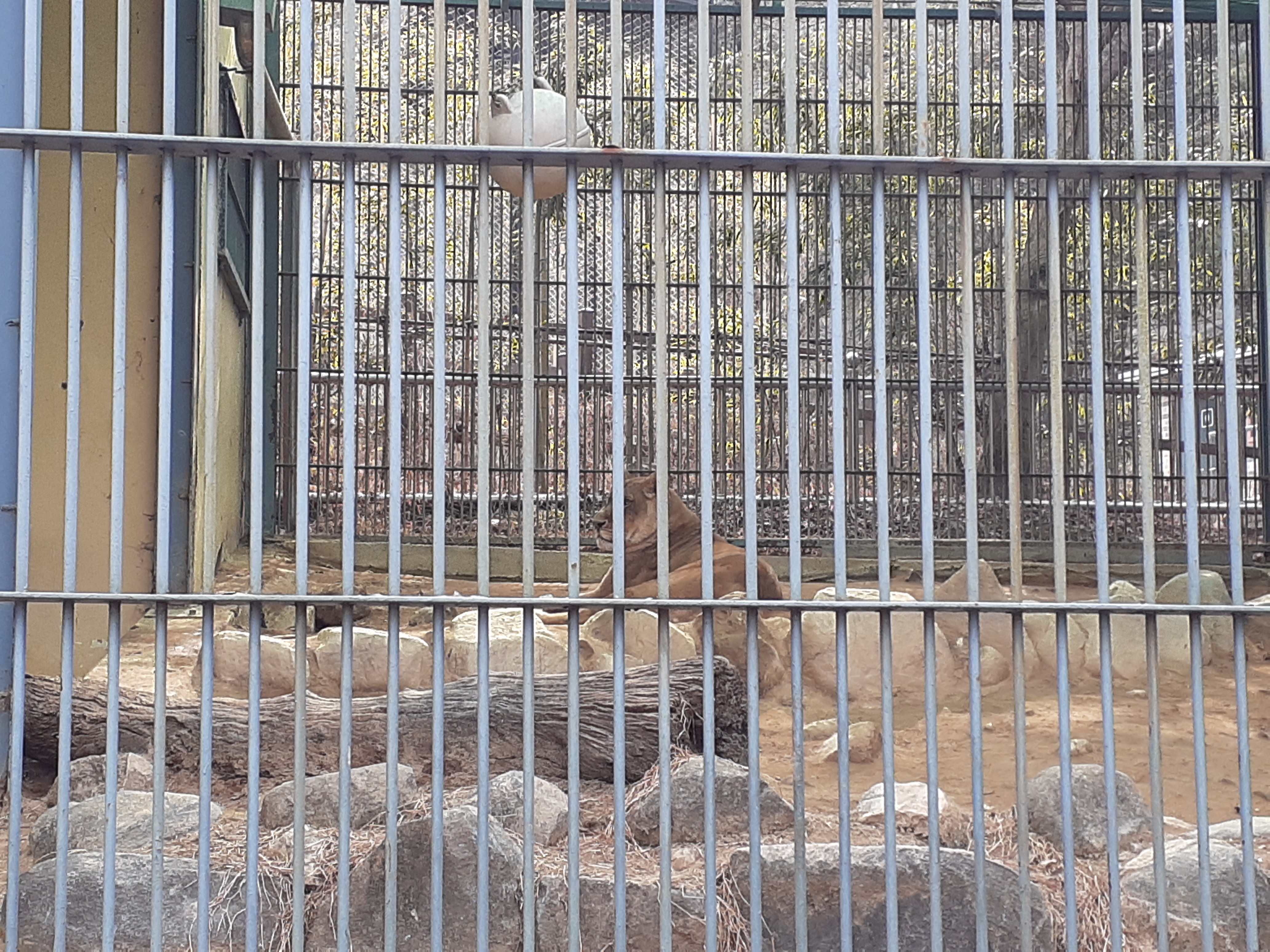 청주동물원