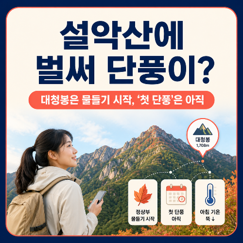 설악산에_벌써_단풍이?