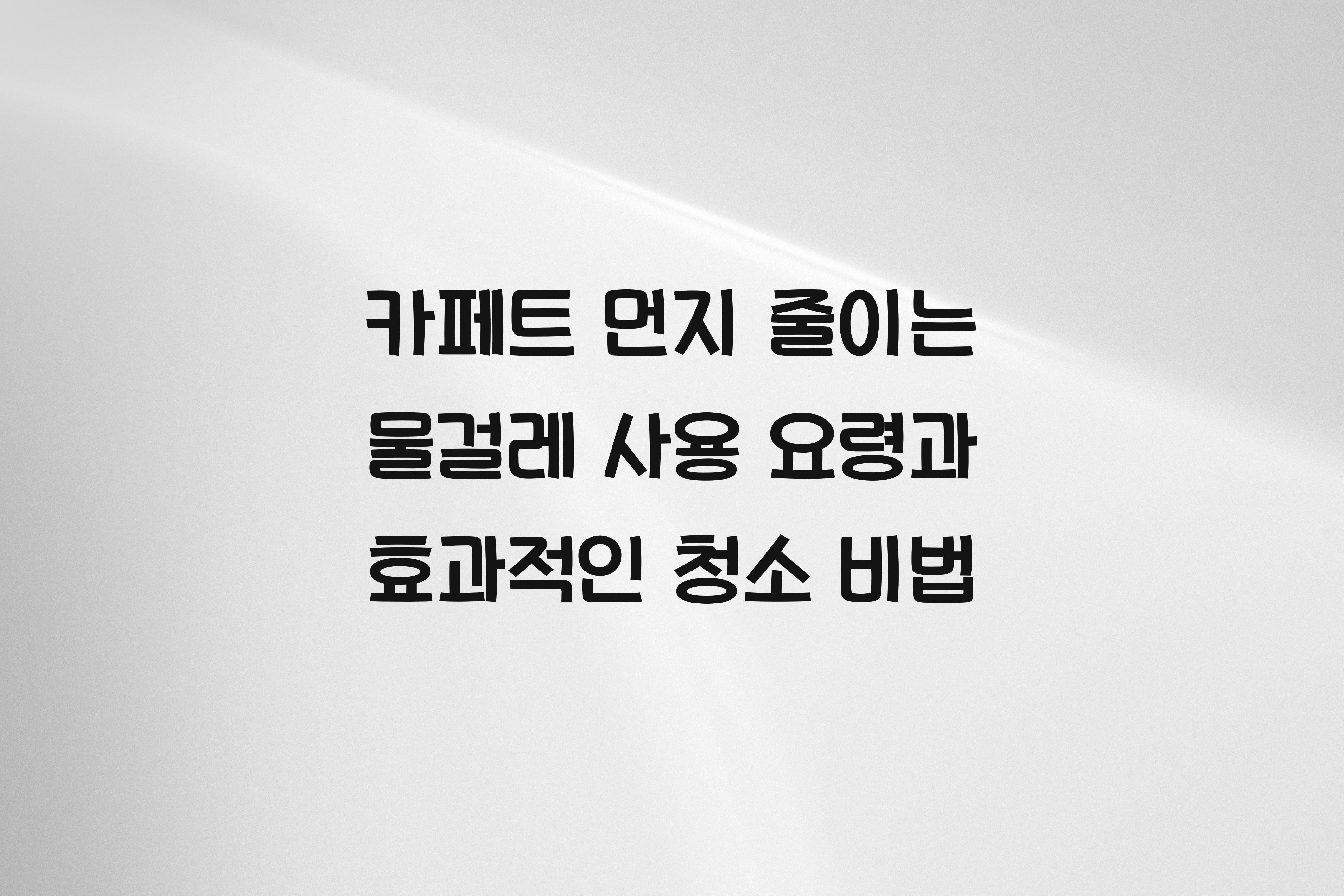 카페트 먼지 줄이는 물걸레 사용 요령