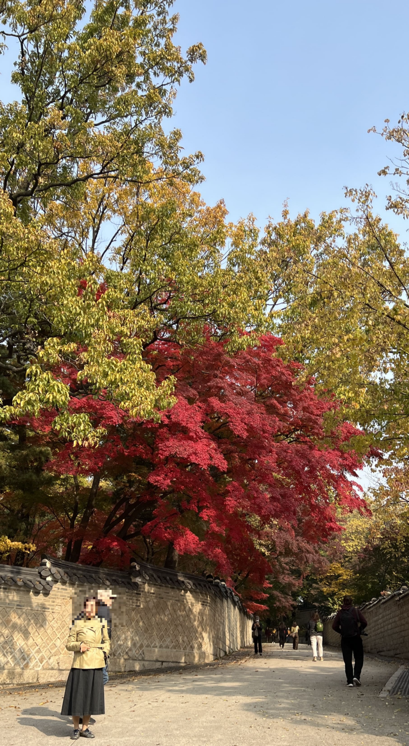 창덕궁 가을 후원
