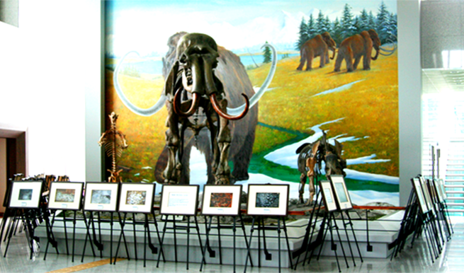 수양개 선사유물 전시관 실내