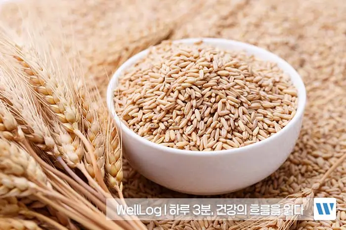 파로 효소 효능, 카무트 효소 효능