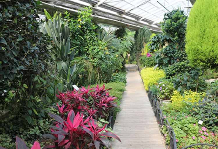 세종 베어트리파크 수목원