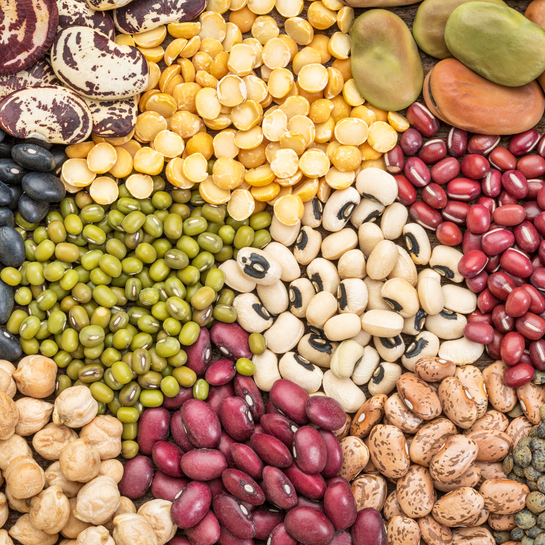 콩의 효능과 콩의 종류