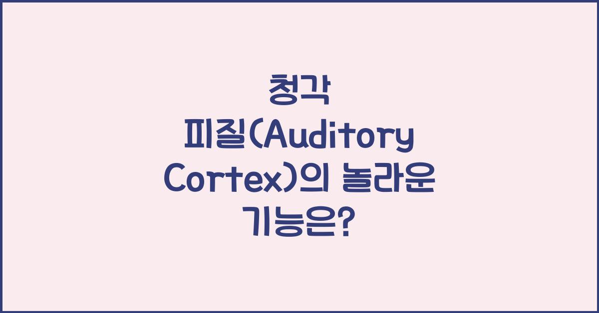 청각 피질(Auditory Cortex)  