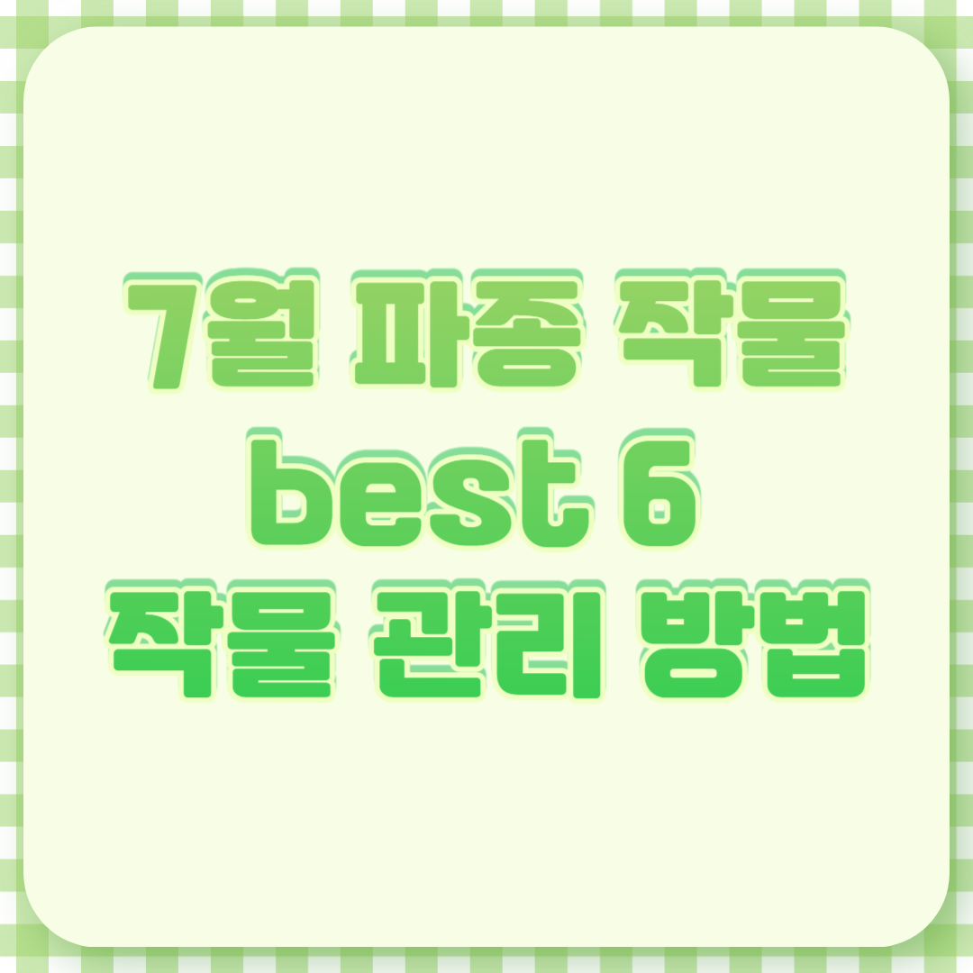 7월 파종 작물 best 6 작물 관리 방법