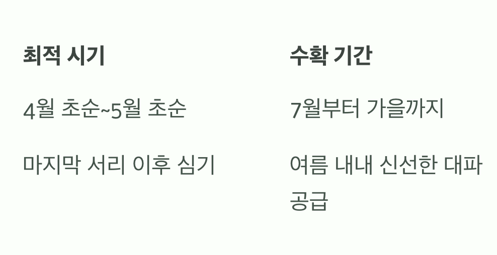 '봄 파종', 여름부터 가을까지 수확의 기쁨