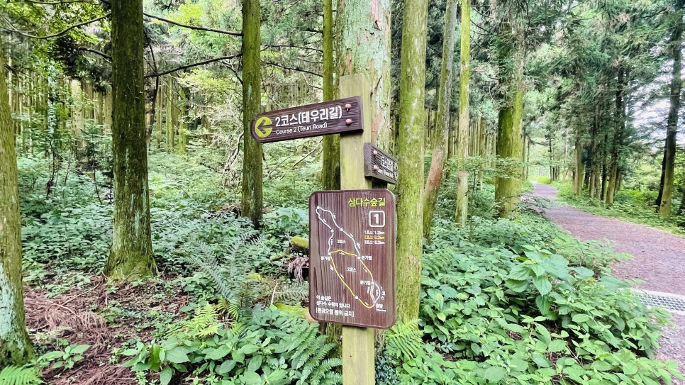 삼다수숲길