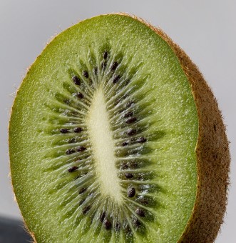 배부른 영양실조&amp;#44; 키위가 답이다