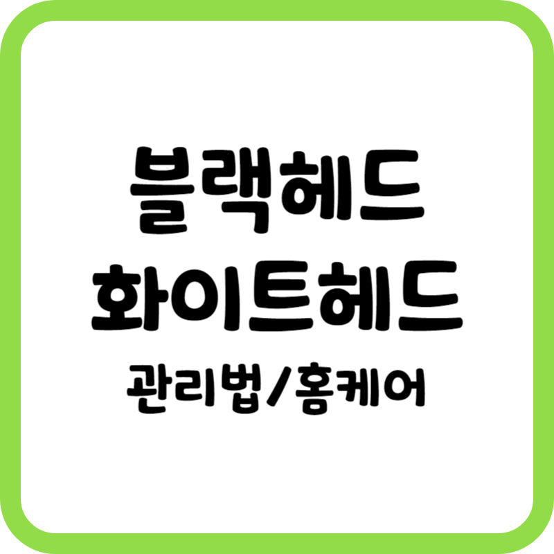 블랙헤드와 화이트헤드 관리법