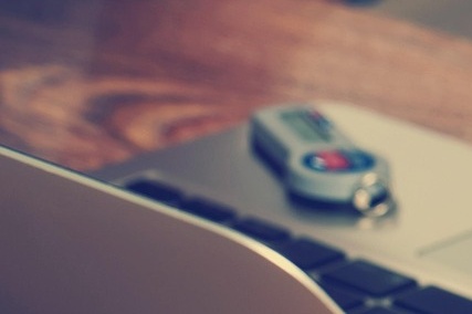 세대주 민생회복 소비쿠폰