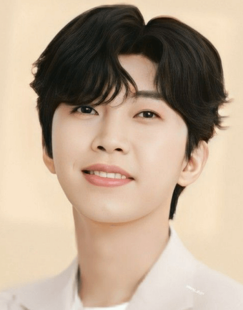 임영웅 콘서트 예매방법 티켓팅 꿀팁 가격