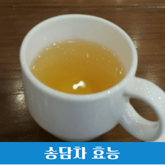 송담 효능과 부작용 및 송담 먹는법 (송담차 만드는 방법)