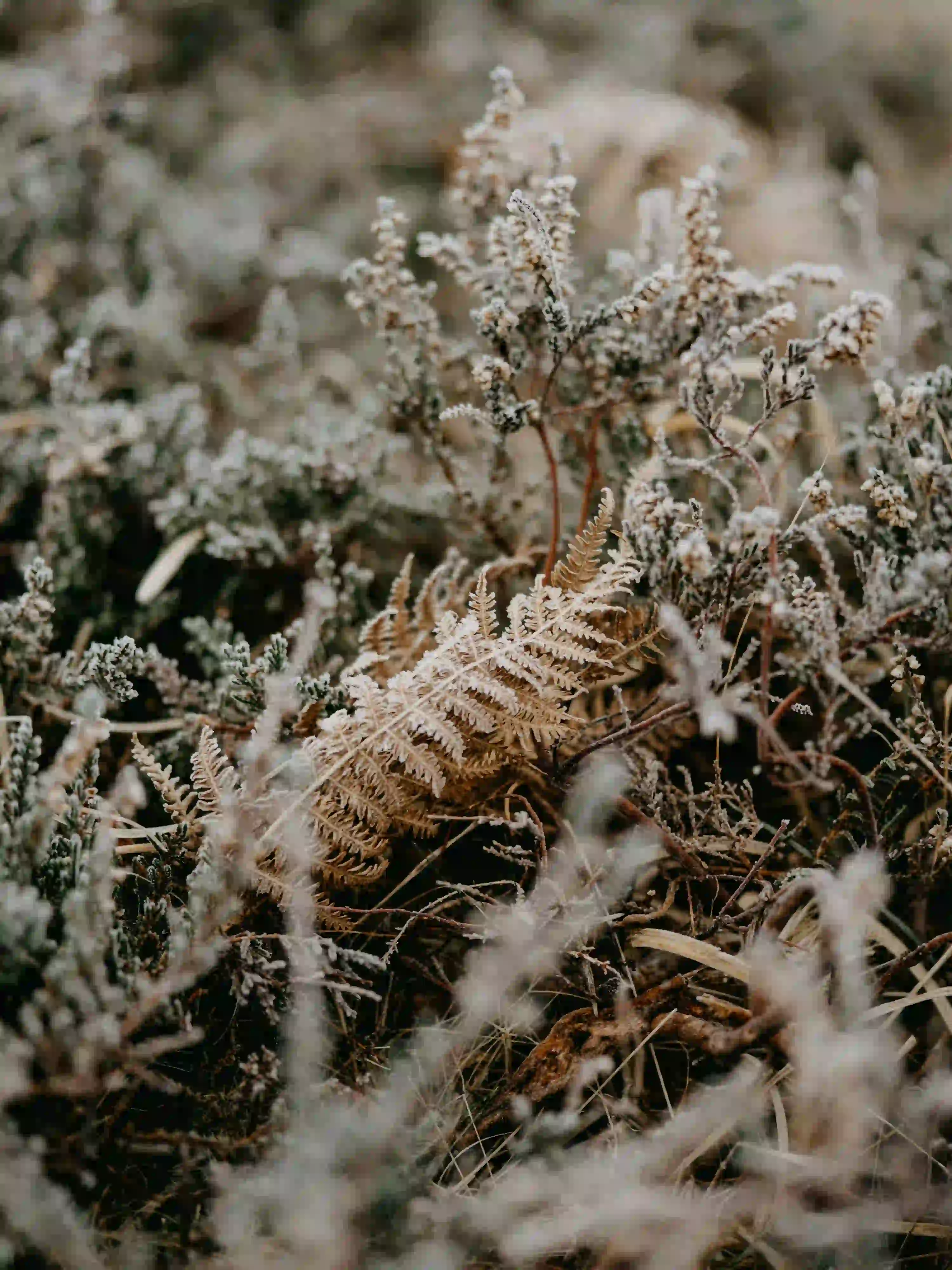 B형독감 잠복기 총정리 (+A형과 차이&middot;격리기간&middot;예방)