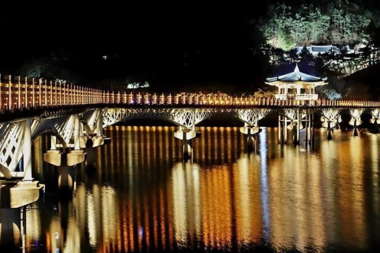 월령교 야경 사진 자료