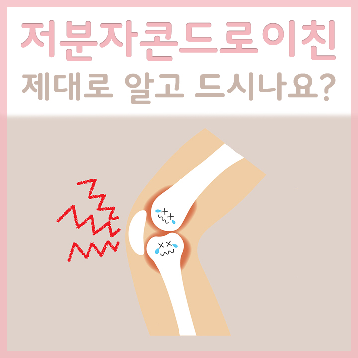 저분자콘드로이친