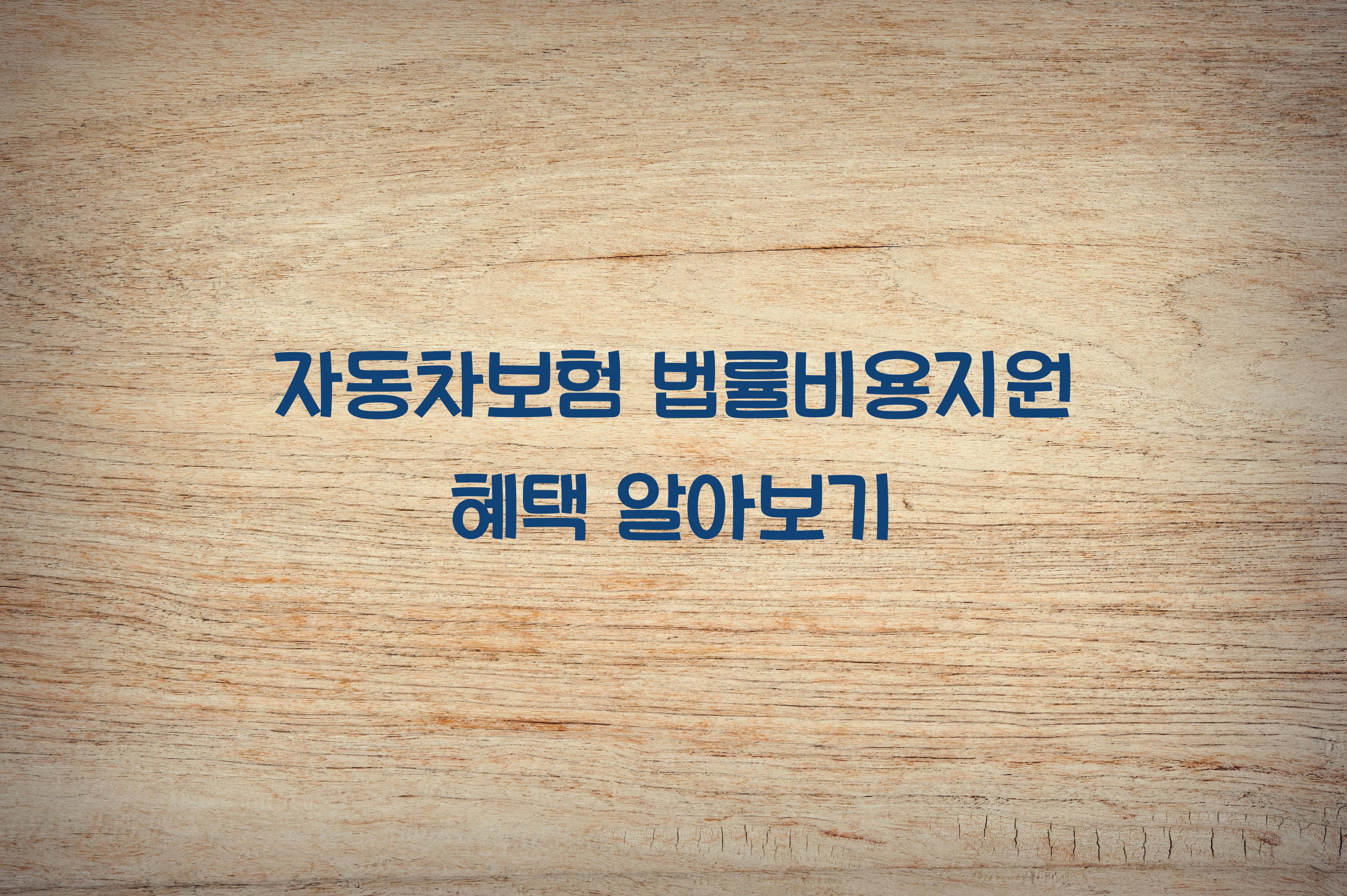 자동차보험 법률비용지원