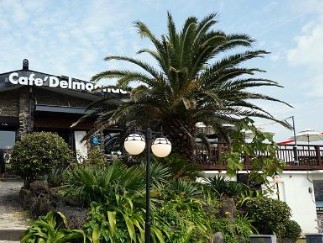 제주 2박 3일 핫플레이스