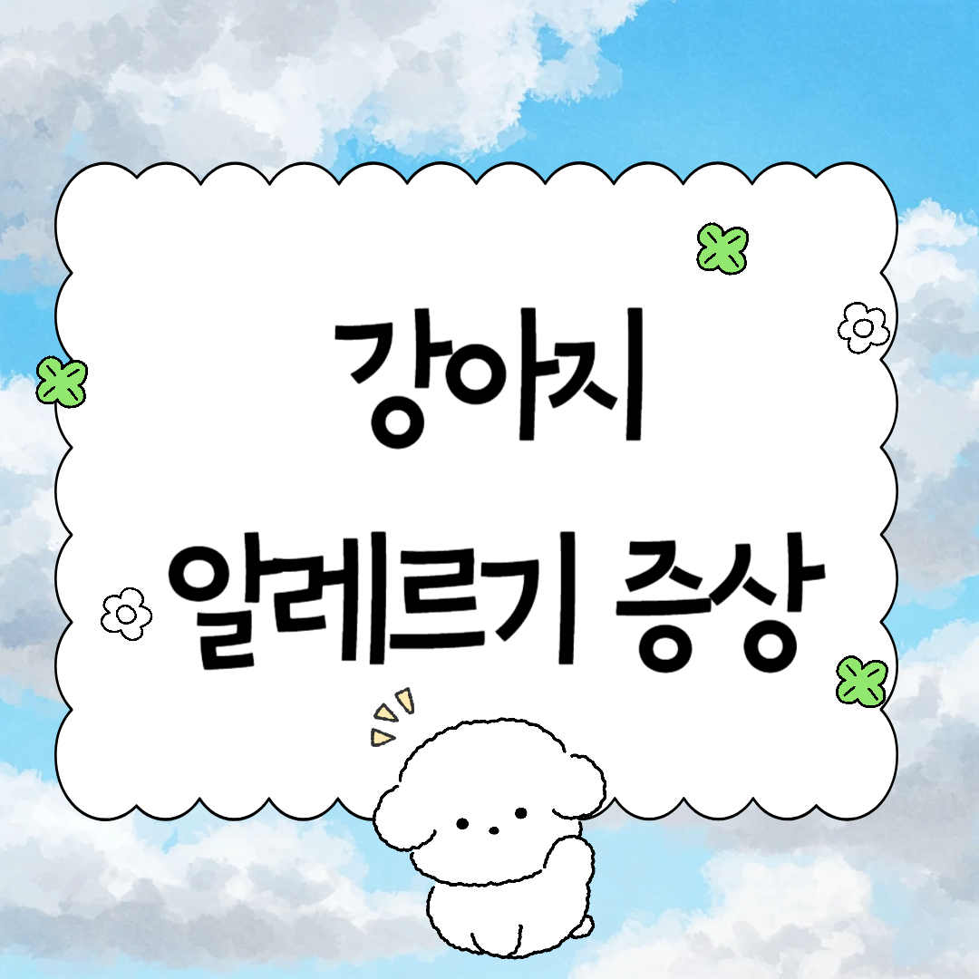 주의해야 할 강아지 알레르기 증상