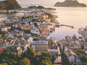 스텝퍼 운동 효과