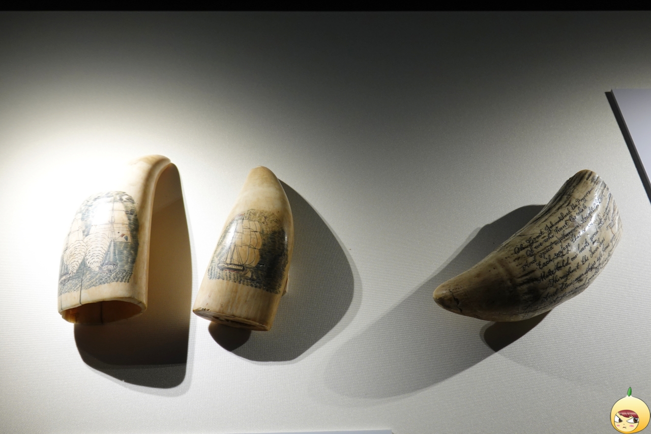 항고래 이빨장식