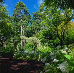 화담채 예약 방법