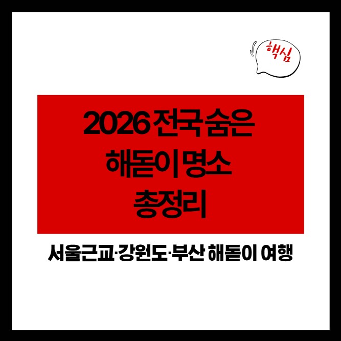 2026 전국 숨은 해돋이 명소 총정리|서울근교·강원도·부산 해돋이 여행