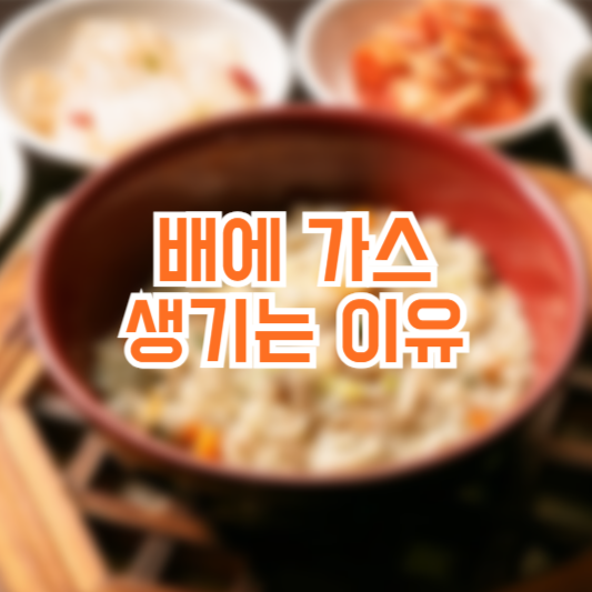 배에 가스 차는 이유! 해결 관리 방법!