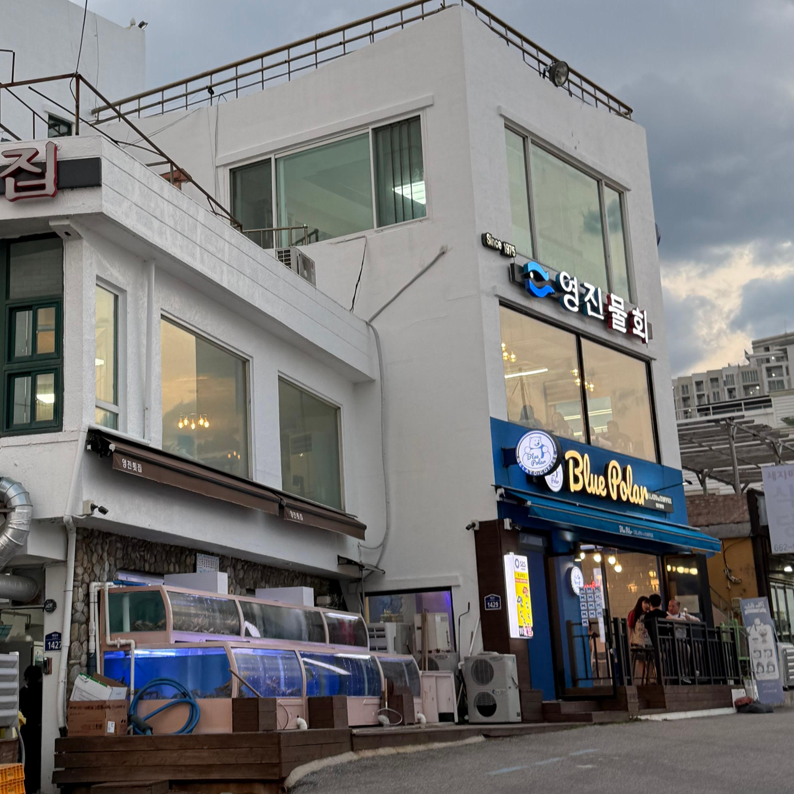 강릉 물회 맛집 영진물회