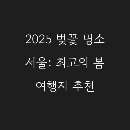 2025 벚꽃 명소 서울: 최고의 봄 여행지 추천 대표 이미지