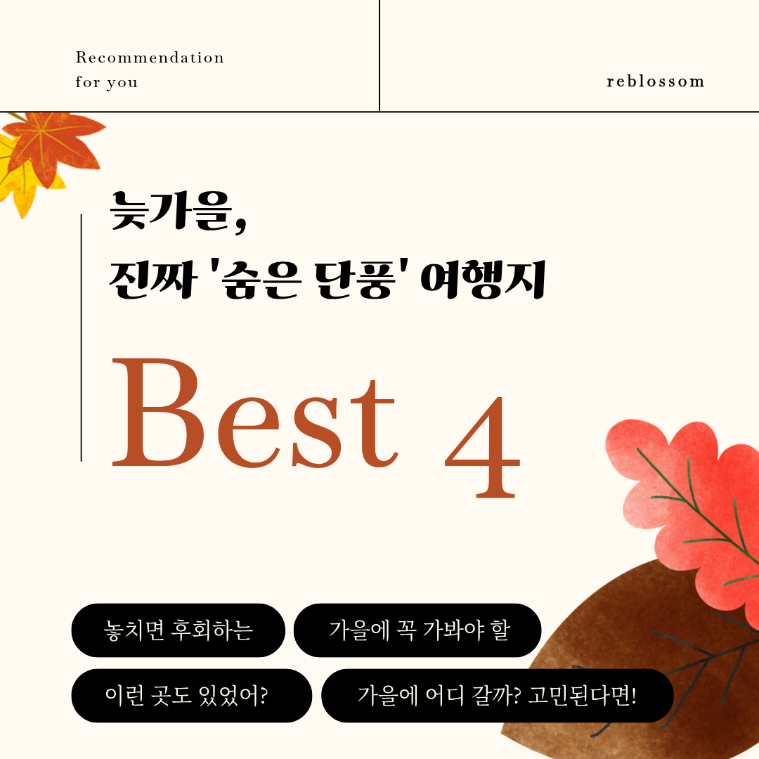 늦가을 진짜 숨은 단풍 여행지